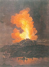 Phallus
