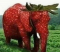 Thumbnail for version as of 13:08, 8 April 2026