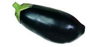 Aubergine