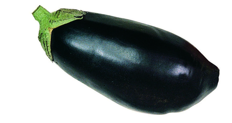 File:Aubergine (AVERT EYES).jpg