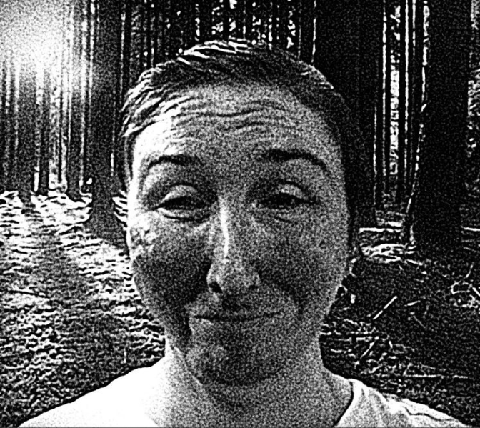 File:Imageforest.png