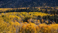 Thumbnail for version as of 13:06, 8 April 2026