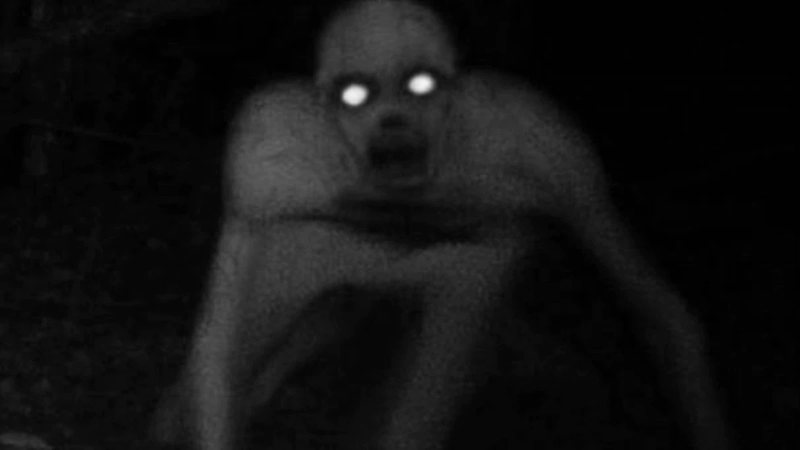 File:Skinwalker.png