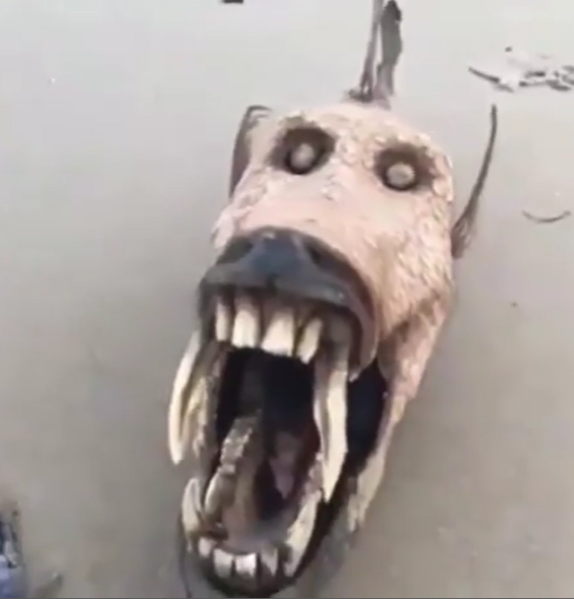 File:HI.png
