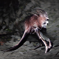 Thumbnail for version as of 12:39, 8 April 2026