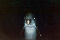Thumbnail for version as of 12:00, 8 April 2026