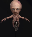 Thumbnail for version as of 11:14, 8 April 2026