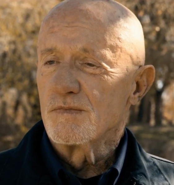 File:Mark Ehrmantraut, in Breaking Bad.png
