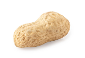 Legume