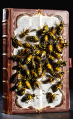 Thumbnail for version as of 13:22, 8 April 2026