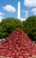 Thumbnail for version as of 12:01, 8 April 2026